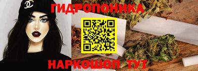СК Можга