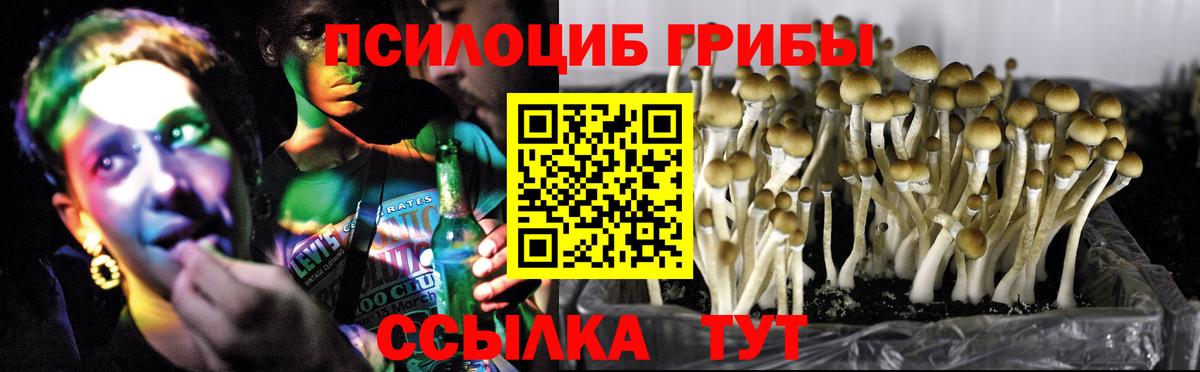 Псилоцибиновые грибы мухоморы Тимашёвск